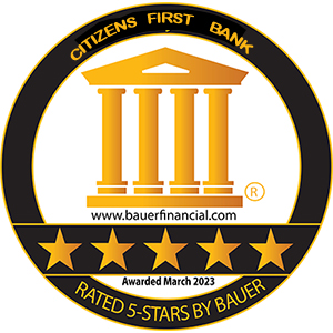 Sky Bridge Bank rated 5-stars by Bauer
